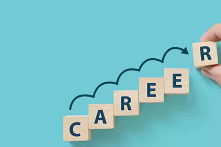 Top 10 Career Options After BBA Degree