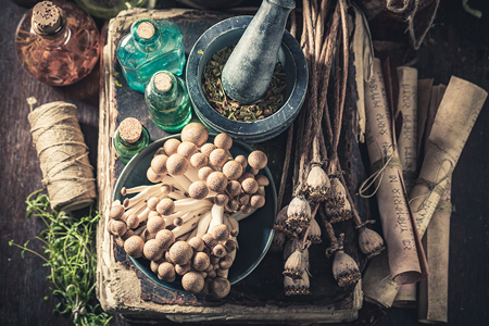 Siddha medicine and its scope in India
