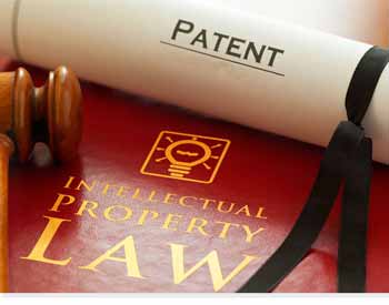 LLM Intellectual Property Rights