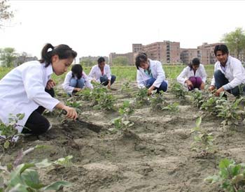 Diploma Agriculture