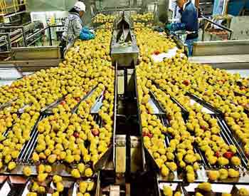 B.Tech Food Process Engineering