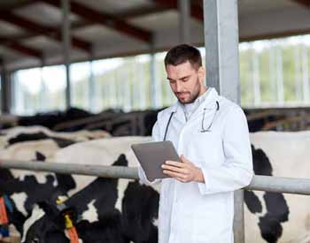 M.Sc in Dairy Engineering