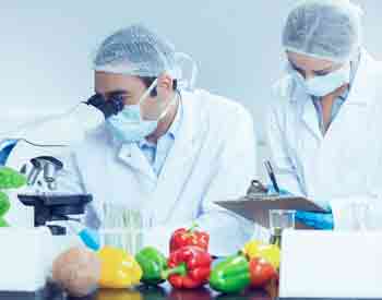 B.Tech Food Science
