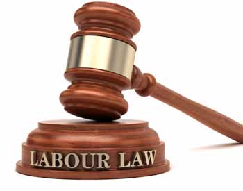 LLM Labor Law