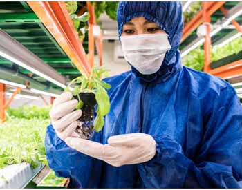 B.Sc in Horticulture