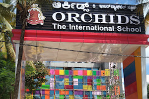banner img